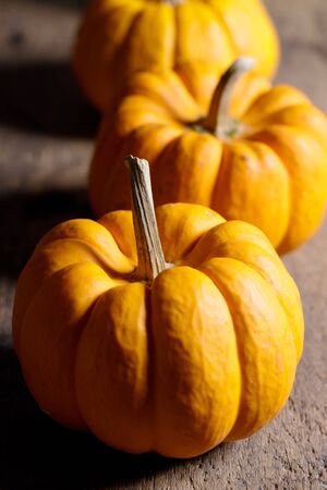 orange pumpkin on rustic wooden backgroundの写真素材
