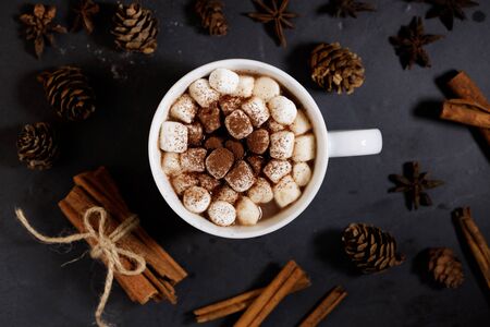 White ceramic cups of hot cocoa with marshmallows on top of rustic black backgroundの写真素材
