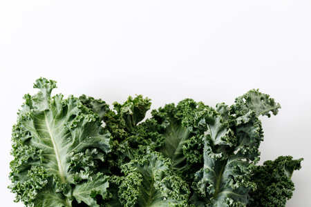 Fresh green Kale leaf salad vegetable on white backgroundの写真素材