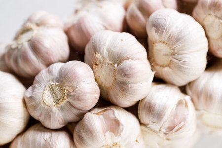Ripe organic garlic clove and bulb on white wooden background.  Close-up. Selective focus.の写真素材