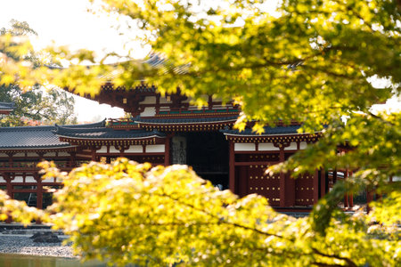 The Phoenix Hall of Byodo-in temple in Autumn season. Kyoto, Japan