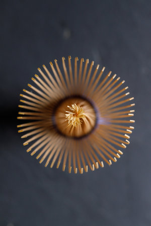 Closeup of Chasen or Bamboo whisk, an equipment for preparing matcha green tea. Selective focus.の写真素材
