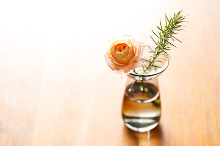 Beautiful pinkish coral orange roses under sunlight in on wooden table. Floral natural background with rose flower. Selective focus.の写真素材