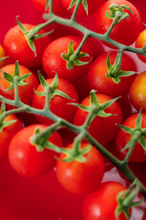 Fresh red cherry tomato on red background. Selective focus.の写真素材