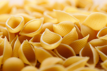 Raw uncooked dried Conchiglie shell pasta. Italian seashells pasta on wooden background. Selective focusの写真素材