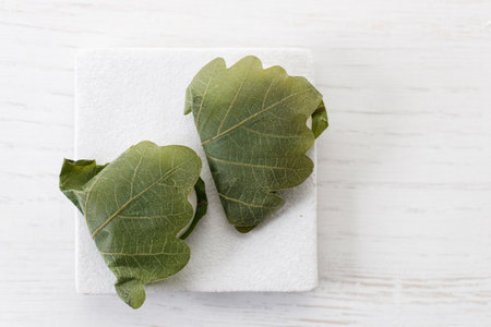 Closeup of Kashiwa mochi. Traditional Japanese sweet from white mochi or rice cake and sweet Anko or red bean paste filling surrounded with Kashiwa or Oak leaf . Selective focus.の写真素材