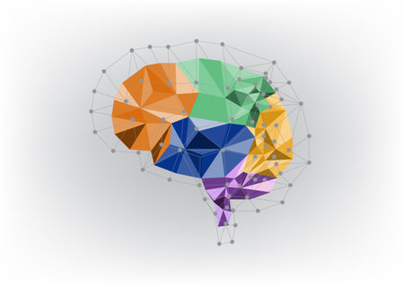 Abstract colorful low poly polygon brain on white background. technology background concept. Vector illustration.のイラスト素材
