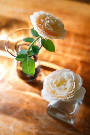 Beautiful blooming rose in glass vase on wooden table. Selective focus.の写真素材