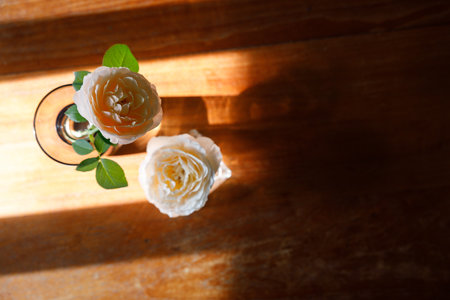 Yellow beautiful blooming rose in glass vase under window light on wooden table. Selective focus.の写真素材