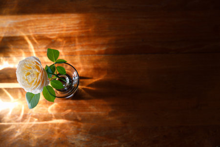 Yellow beautiful blooming rose in glass vase under window light on wooden table. Selective focus.の写真素材