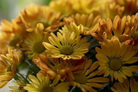 A bouquet of orange yellow flowersの写真素材
