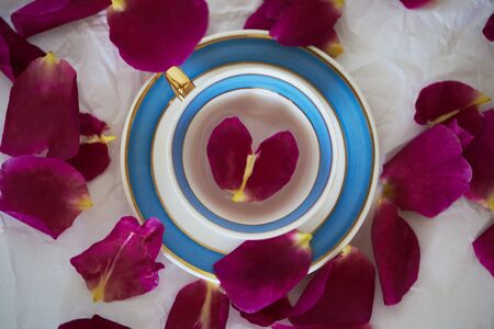 Blue tea cup with scattered rose petalsの写真素材