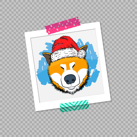 Photo of japanese dog. Winter photos. Vector illustration EPS 10.のイラスト素材