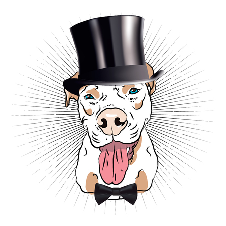 Elegant dandy dog. Fun graphic. Vector drawing.のイラスト素材