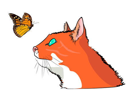 Illustration of a ginger cat looking at a butterfly.のイラスト素材