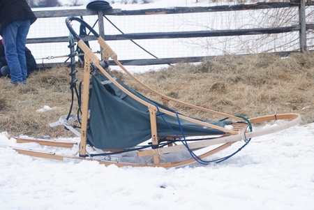 Dog Sledの写真素材