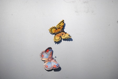 Butterfliesの写真素材