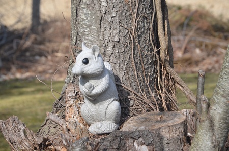 Squirrel on a stumpの写真素材