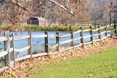 Fence and pondのeditorial素材