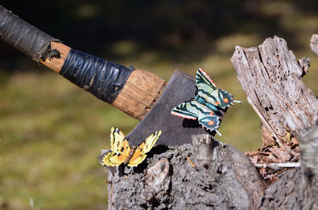 Axe and butterflys