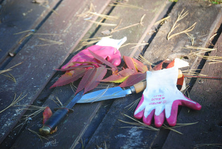 Gardening tools