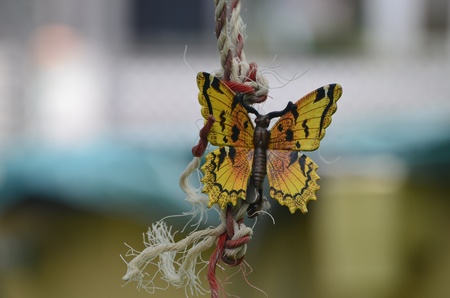 Butterfly on a ropeの写真素材