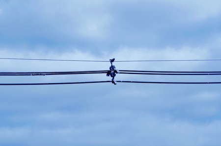 Electical wiresの写真素材