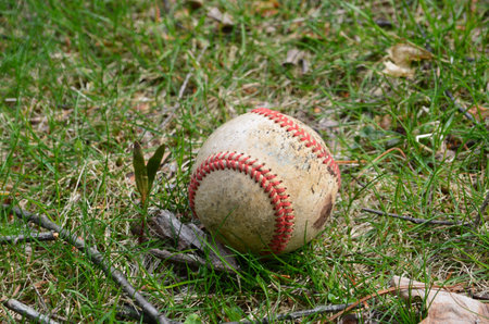 Baseball in the grass