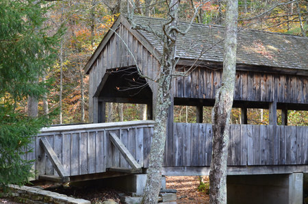 Wooden covered bridge