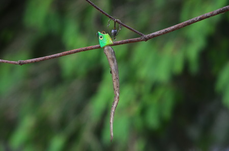 Fishing lureの写真素材