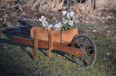 A wooden decorative wheel barrowの写真素材