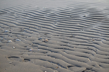 Ripples in the sandy shore