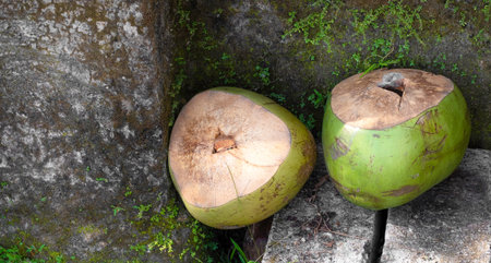 Two fresh green coconuts with tops cut off resting on concrete in tropical Bali, Indonesia