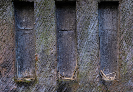 Concrete wall in Bali, Indonesia with three recessed vertical long indentations with pieces of dried straw in bottom of each.の写真素材