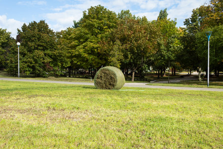 Cleaning and mowing grass in city parks. Waste disposal problem. Landscape design of city parks and industrial areasの写真素材