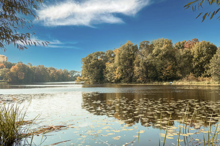 Beautiful trees with yellow leaves against the blue sky. Beautiful autumn landscape. City Park