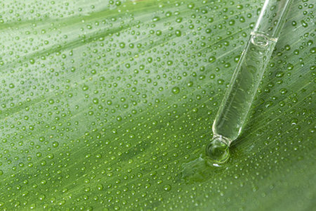 A drop of raw material flows from a medical pipette. A cosmetic dropper from which liquid drips....