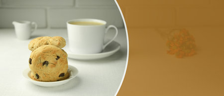 Homemade chocolate cookies. A stack of delicious chocolate chip cookies on a gray table. Copy spaceの写真素材
