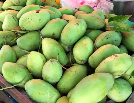 raw mango on the fresh market in Thailand.の写真素材