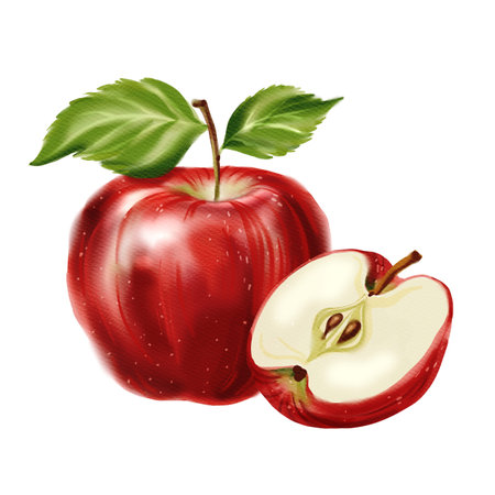 Red fresh whole apple with green leaves and half an apple with seeds, watercolor isolated illustrationの写真素材