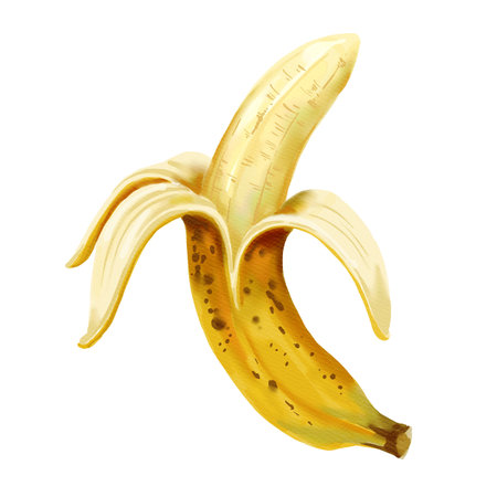 Peeled ripe yellow banana with peel and pulp, watercolor isolated illustration on white backgroundの写真素材