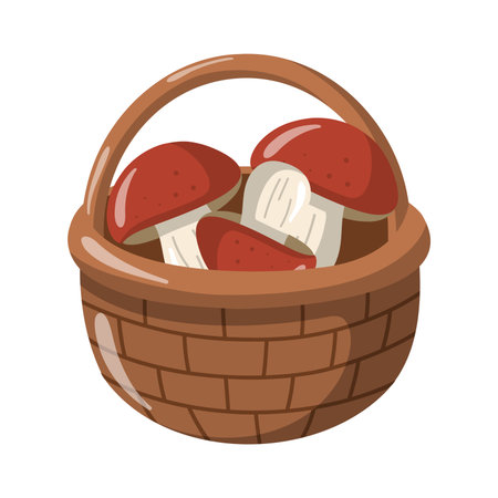 Wicker Basket with forest mushrooms. Autumn harvest season. Cartoon vector isolated illustration on white backgroundのイラスト素材