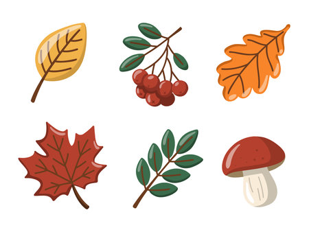 Hello Autumn forest nature set with colourful autumn leaves, berries, mushrooms. Cartoon vector isolated illustrationのイラスト素材