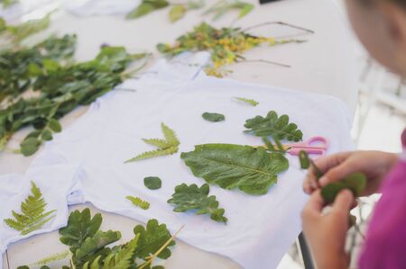 a child makes an application from living leavesの写真素材