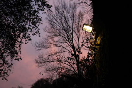 sky with sunsetの写真素材