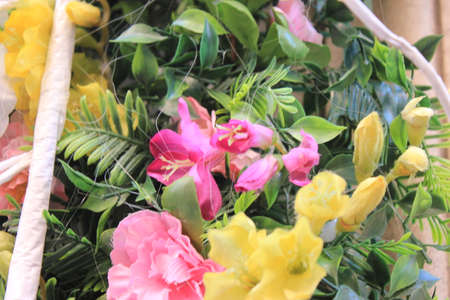 background with spring flowersの写真素材