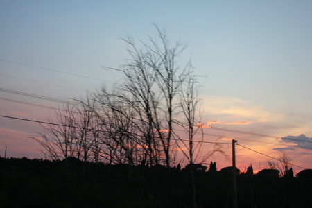 panorama with sunsetの写真素材