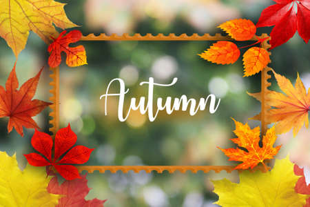 image with autumn leaves and letteringの写真素材