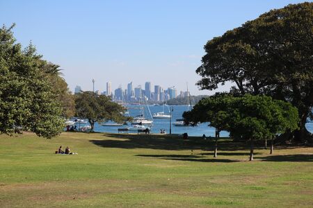 View across park through trees to Sydney city skyline in the distanceのeditorial素材