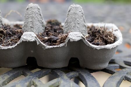 Egg box used as seed trayの写真素材